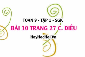 Bài 10 trang 27 Toán 9 tập 1 Cánh Diều